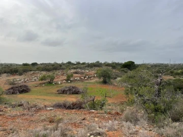 Terreno Agricola ou Rústico para Venda em Conceição e Estoi
