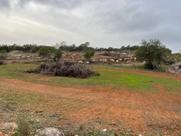 Terreno Agricola ou Rústico para Venda em Conceição e Estoi