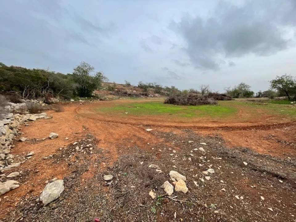 Terreno Agricola ou Rústico para Venda em Conceição e Estoi Foto 4