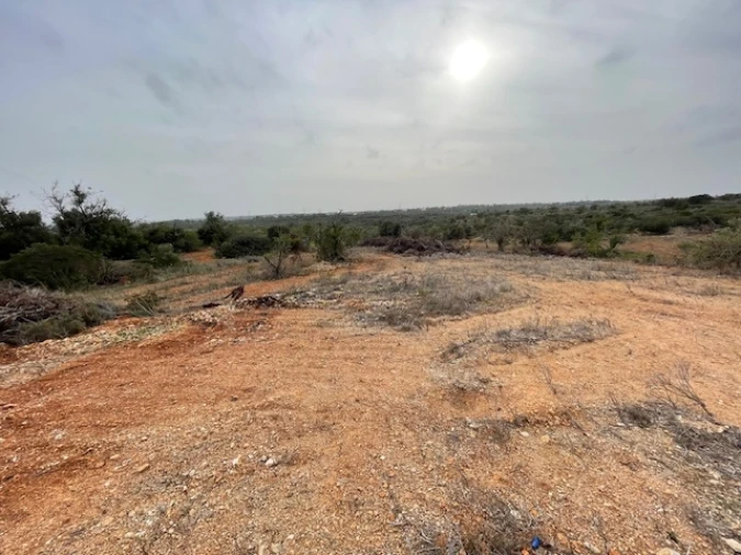 Terreno Agricola ou Rústico para Venda em Conceição e Estoi Foto 6