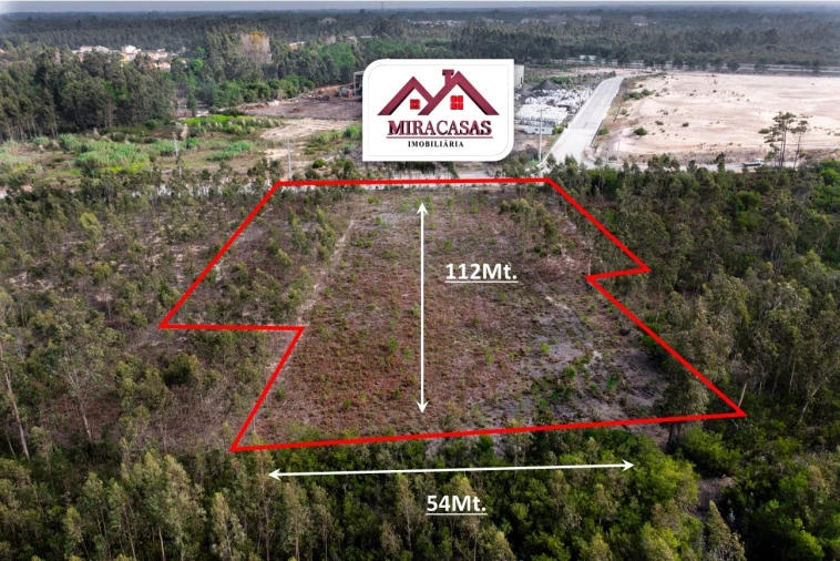 Terreno Agricola ou Rústico para Venda em Mira