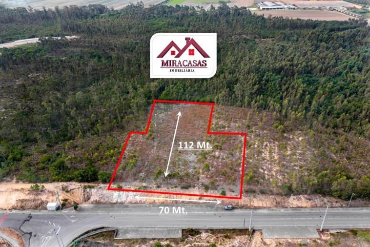 Terreno Agricola ou Rústico para Venda em Mira Foto 3