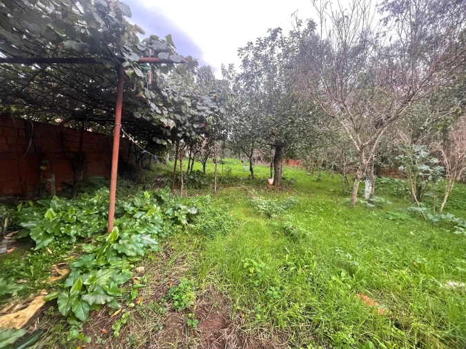 Moradia T3 para Venda em São Miguel do Souto e Mosteirô Foto 5