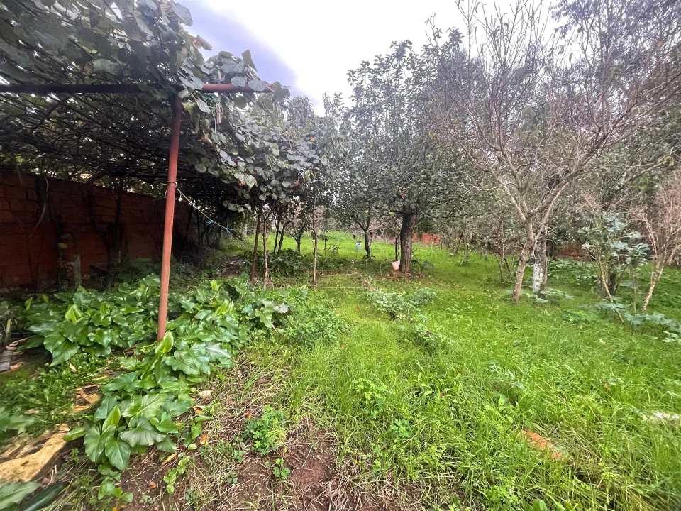 Moradia T3 para Venda em São Miguel do Souto e Mosteirô Foto 5