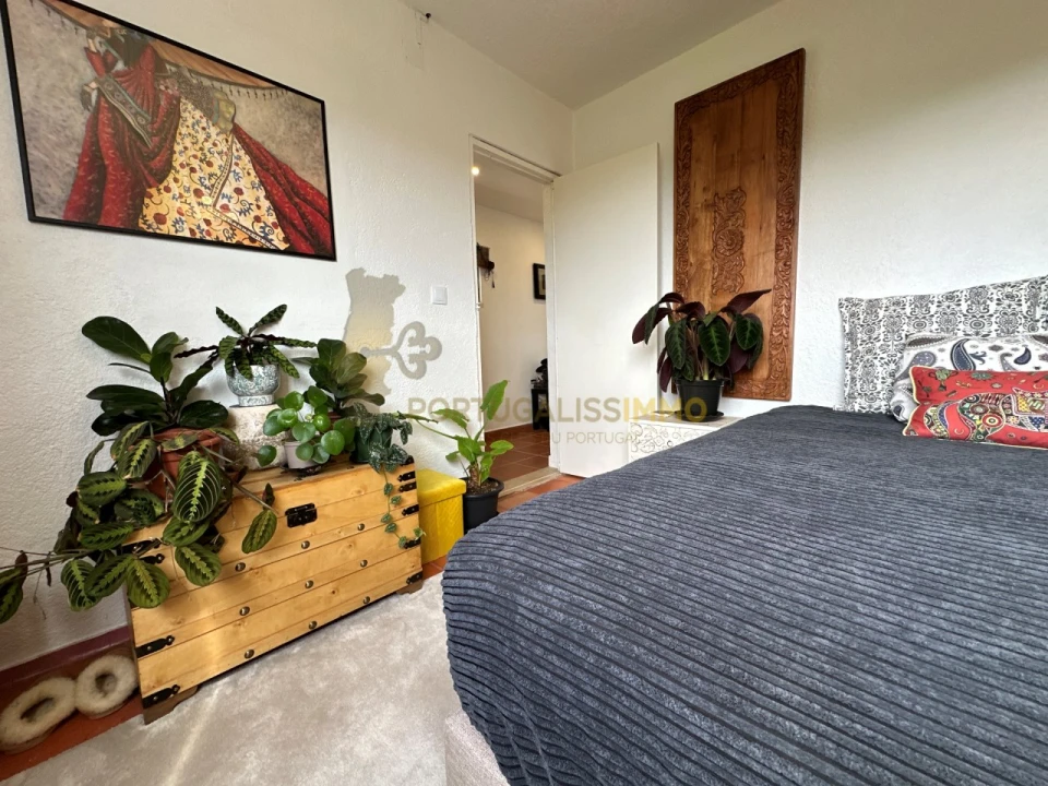 Moradia T4 para Venda em Serra e Junceira Foto 50