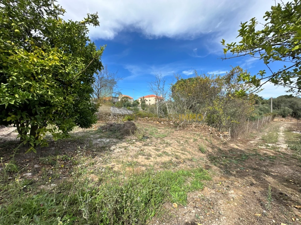 Moradia T4 para Venda em Serra e Junceira Foto 70