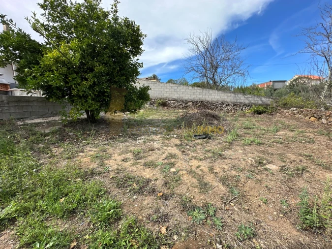 Moradia T4 para Venda em Serra e Junceira Foto 71