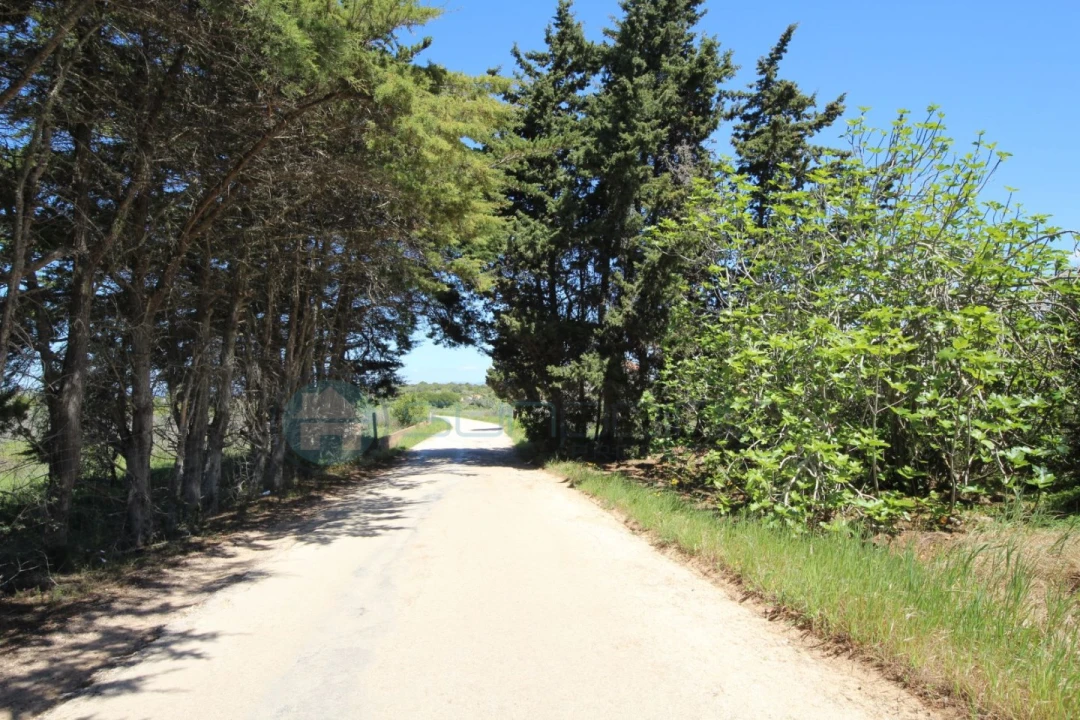 Terreno Agricola ou Rústico para Venda em Luz Foto 2