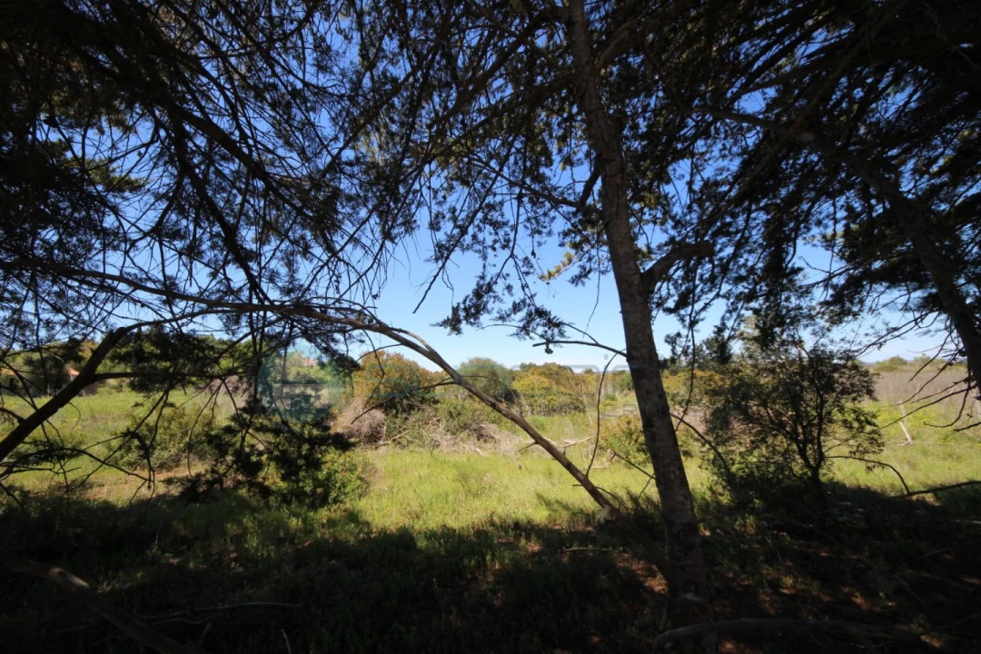 Terreno Agricola ou Rústico para Venda em Luz Foto 5