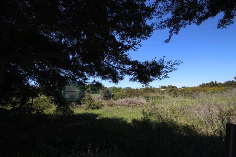 Terreno Agricola ou Rústico para Venda em Luz Foto 1