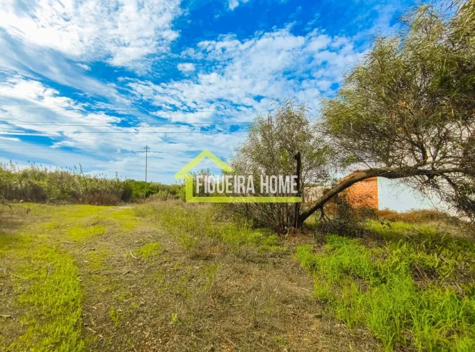 Moradia T5 para Venda em São Pedro Foto 24