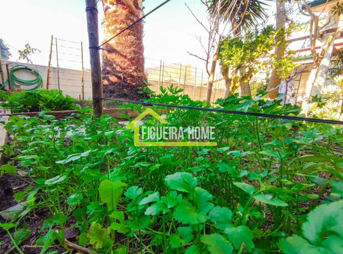 Moradia T5 para Venda em Quiaios Foto 64