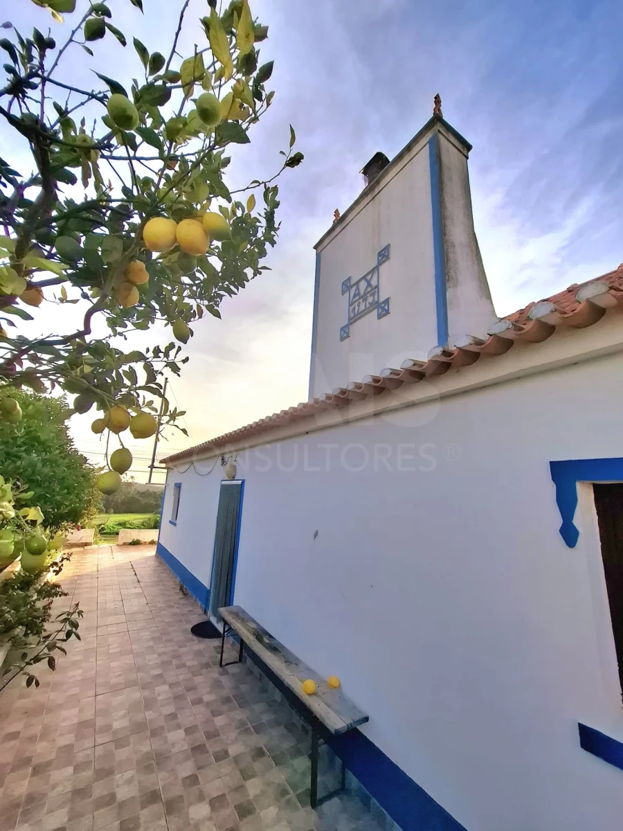 Moradia T3 para Arrendamento em Melides