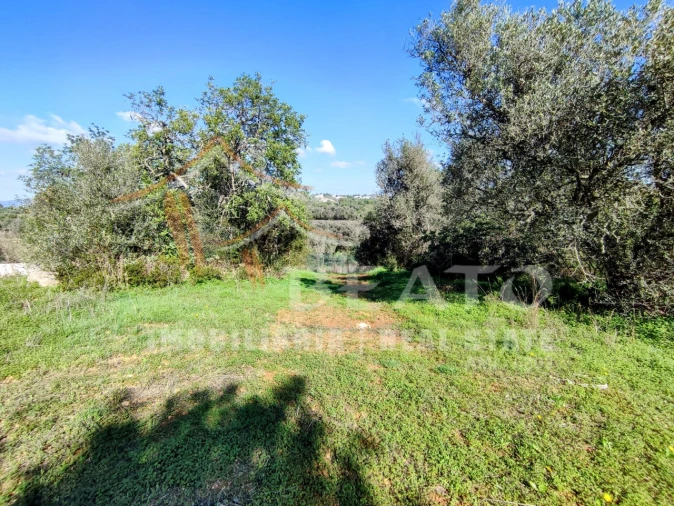 Quinta T2 para Venda em Portimão Foto 23