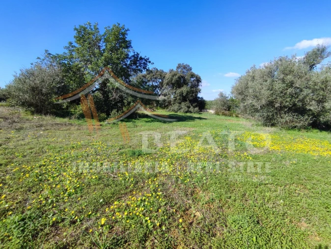 Quinta T2 para Venda em Portimão Foto 25