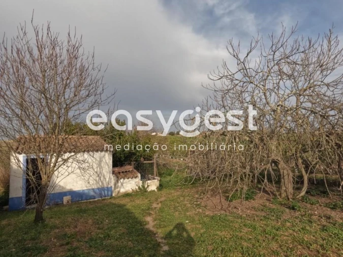 Quinta T3 para Venda em Ferreira do Alentejo e Canhestros Foto 10