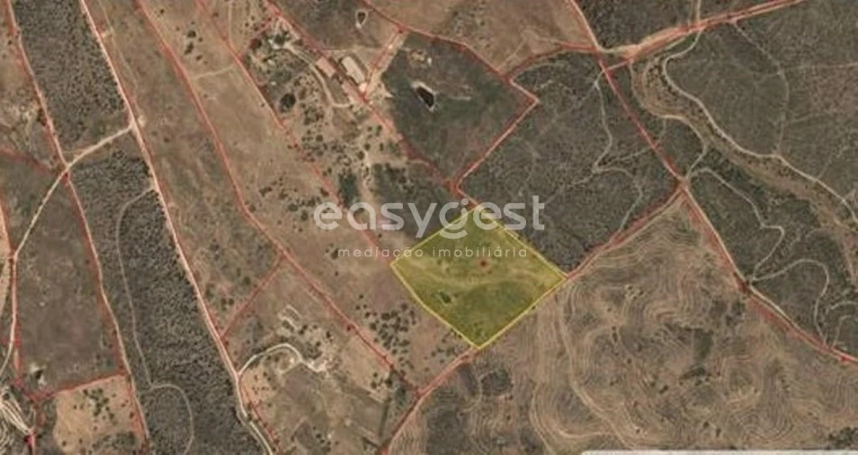 Terreno Agricola ou Rústico para Venda em Ourique Foto 1