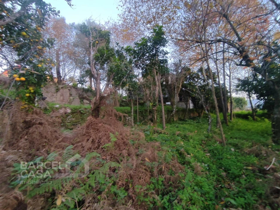 Terreno para Venda em Creixomil e Mariz Foto 4