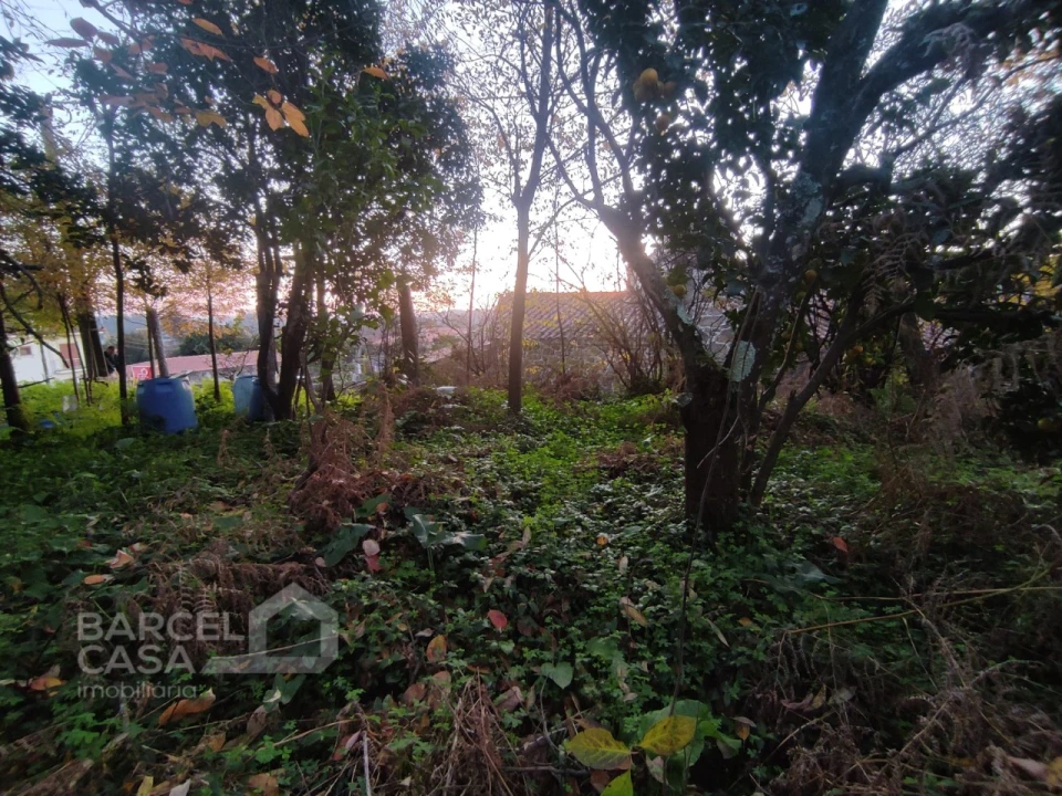 Terreno para Venda em Creixomil e Mariz Foto 5