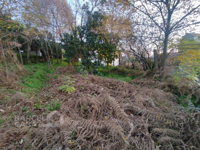 Terreno para Venda em Creixomil e Mariz Foto 6