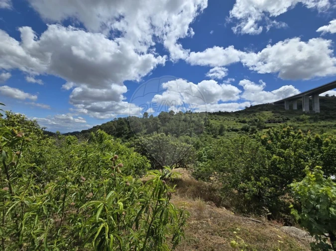 Moradia T8 para Venda em Alhandra, São João dos Montes e Calhandriz Foto 13