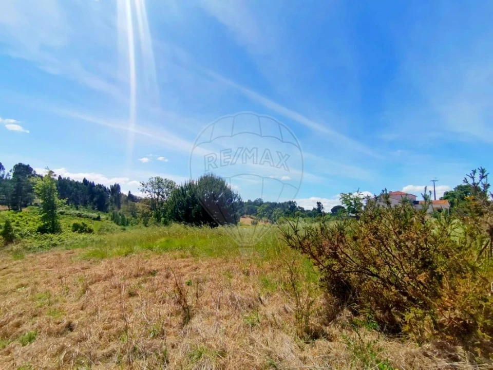 Terreno para Venda em Ereira e Lapa Foto 8