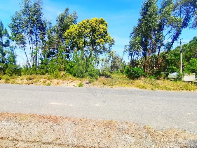 Terreno para Venda em Ereira e Lapa Foto 12