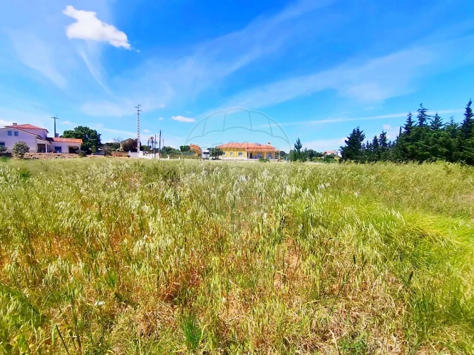 Terreno para Venda em Ereira e Lapa Foto 11