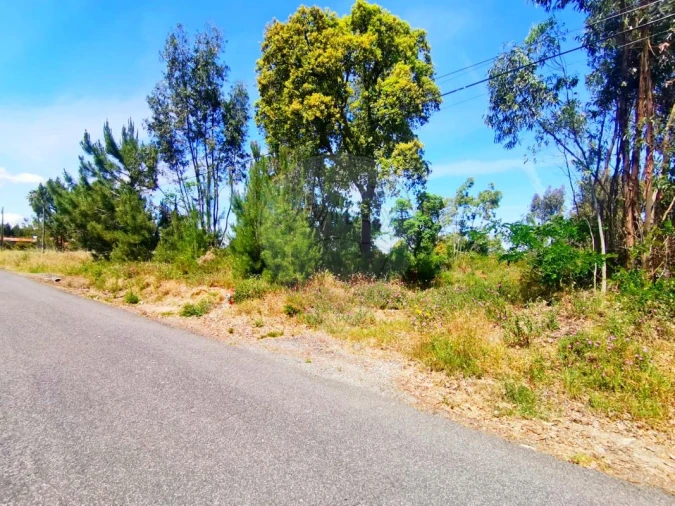 Terreno para Venda em Ereira e Lapa Foto 3