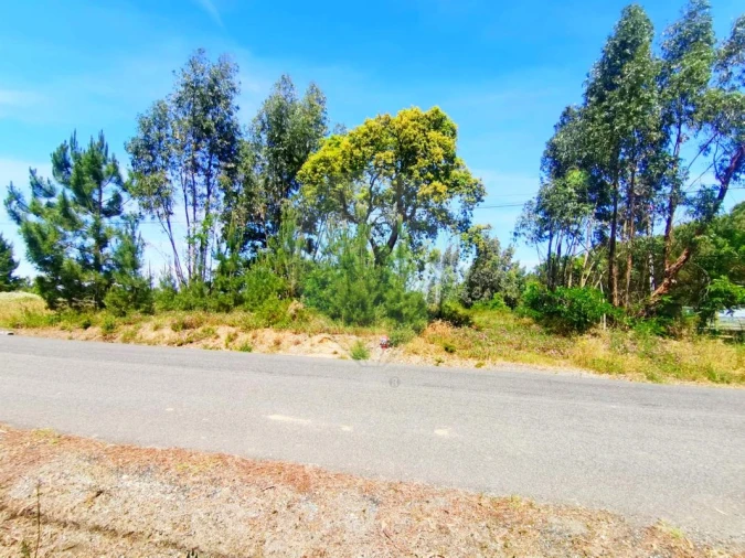 Terreno para Venda em Ereira e Lapa Foto 6