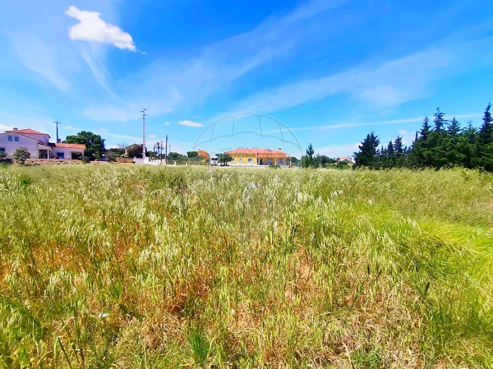 Terreno para Venda em Ereira e Lapa Foto 11
