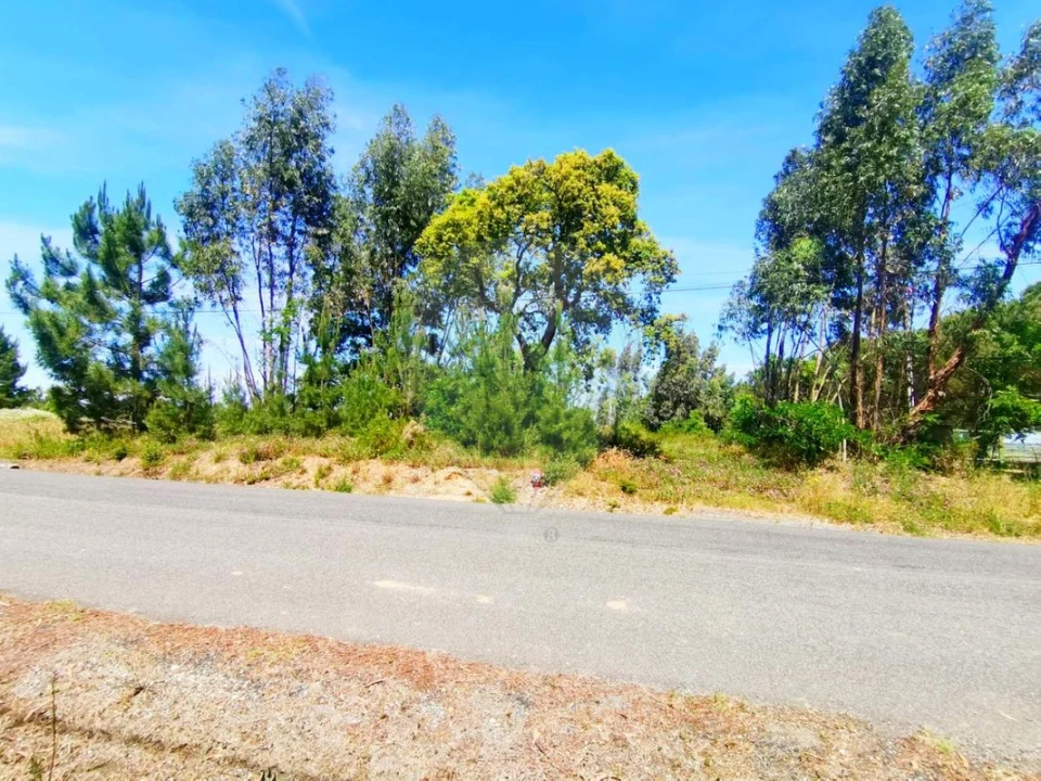 Terreno para Venda em Ereira e Lapa Foto 6