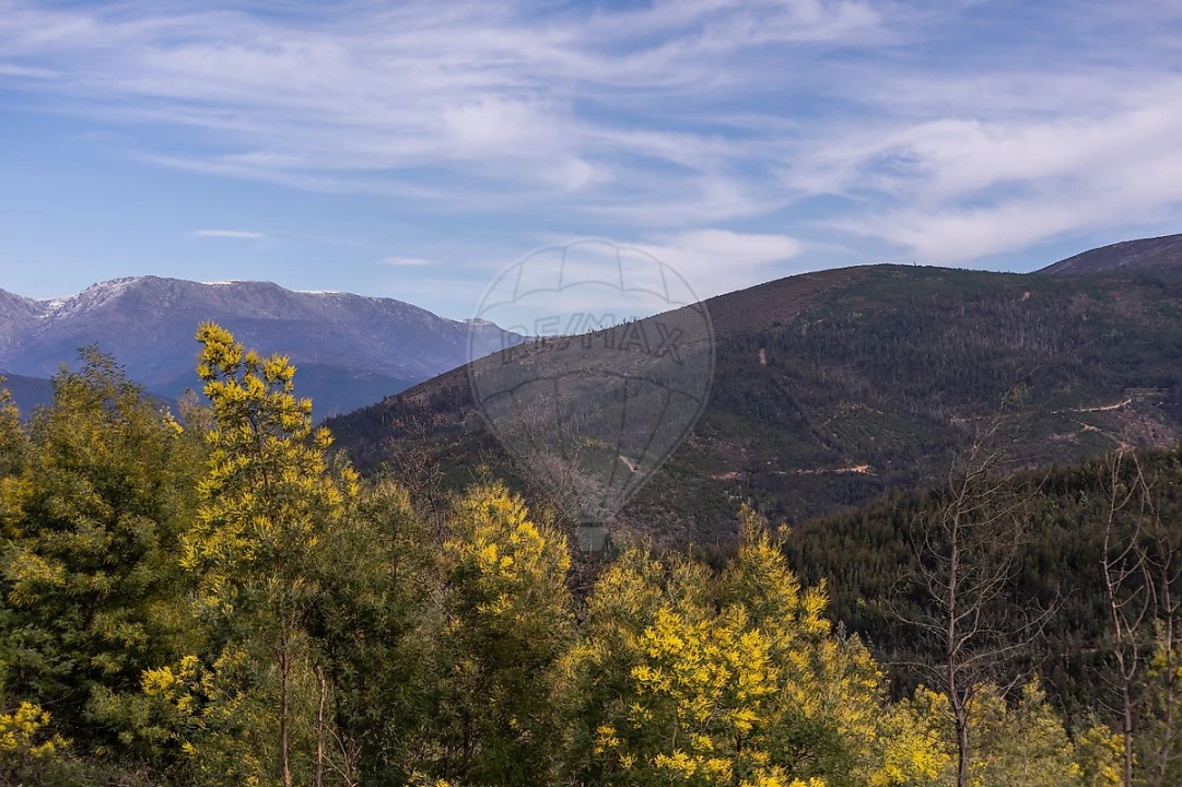 Moradia T4 para Venda em Aldeia das Dez Foto 33
