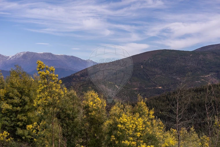 Moradia T4 para Venda em Aldeia das Dez Foto 33