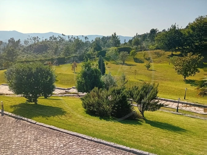 Quinta T6 para Venda em São Torcato Foto 3