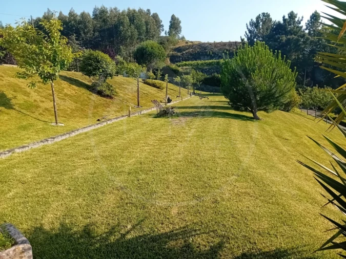 Quinta T6 para Venda em São Torcato Foto 35