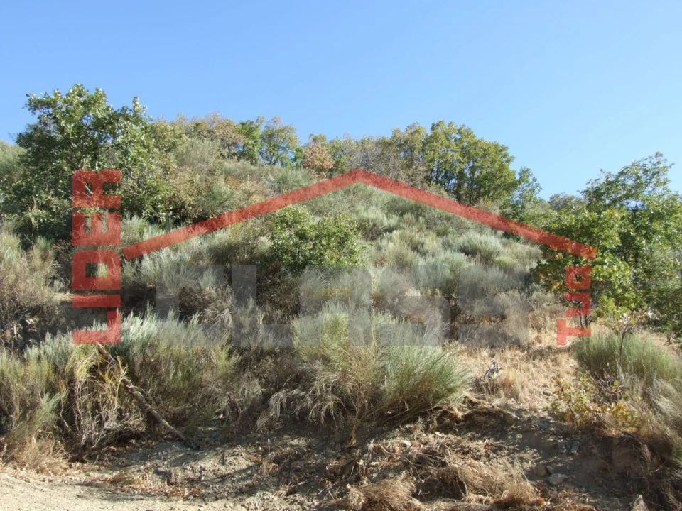 Terreno para Venda em Sambade Foto 7