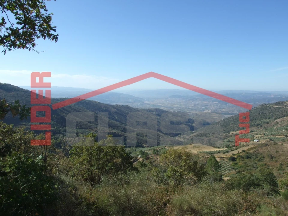 Terreno para Venda em Sambade Foto 12