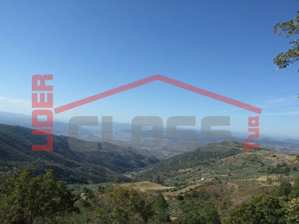 Terreno para Venda em Sambade Foto 13