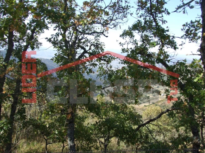 Terreno para Venda em Sambade Foto 9