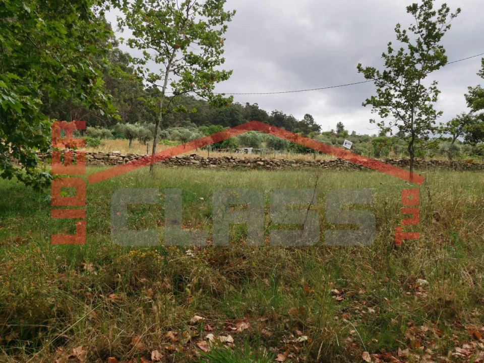 Terreno Agricola ou Rústico para Venda em Vilas Boas e Vilarinho das Azenhas Foto 3