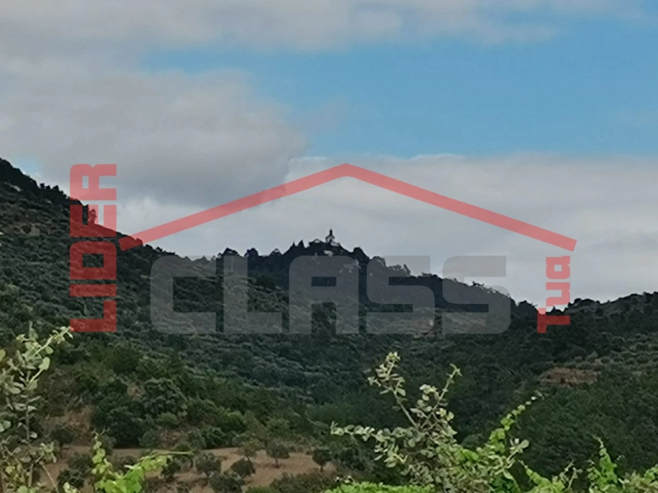 Terreno Agricola ou Rústico para Venda em Vilas Boas e Vilarinho das Azenhas Foto 4