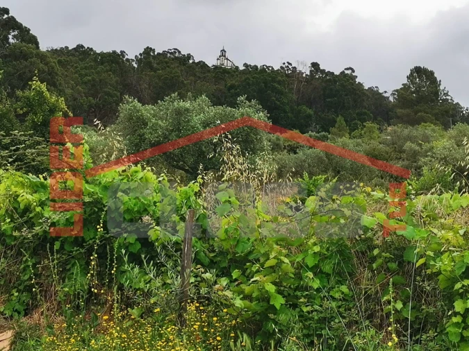 Terreno Agricola ou Rústico para Venda em Vilas Boas e Vilarinho das Azenhas
