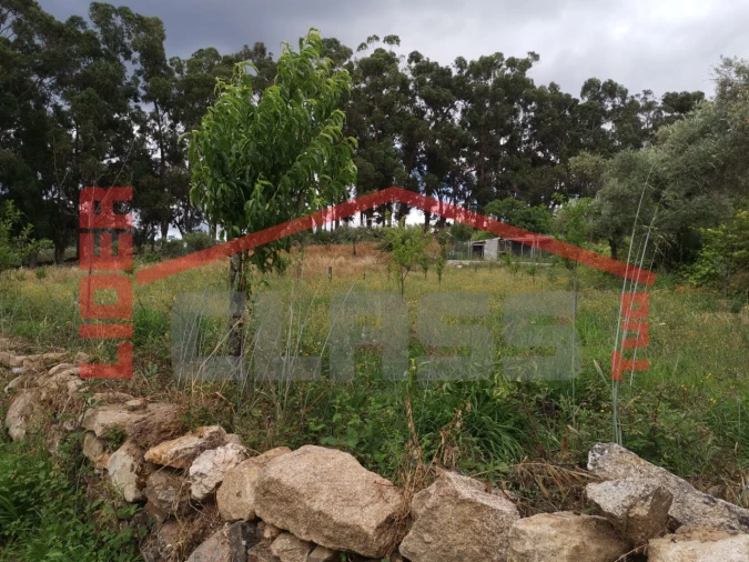 Terreno Agricola ou Rústico para Venda em Vilas Boas e Vilarinho das Azenhas Foto 2