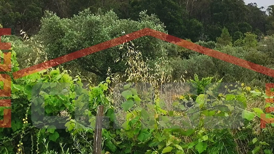 Terreno Agricola ou Rústico para Venda em Vilas Boas e Vilarinho das Azenhas