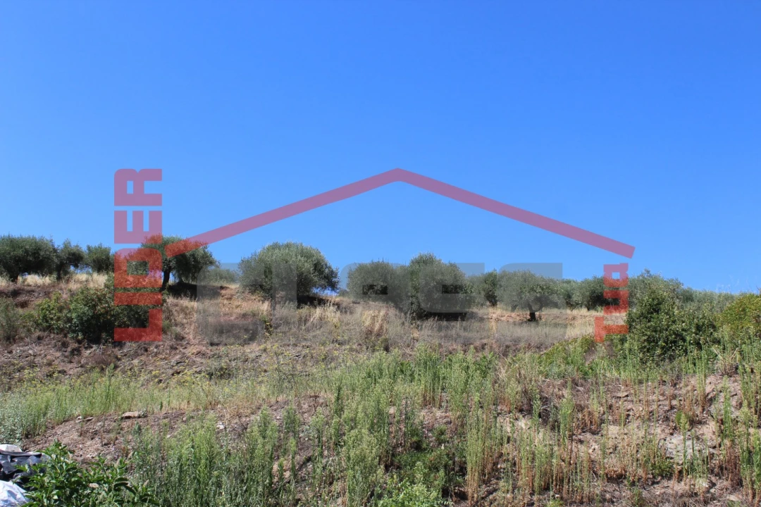 Terreno Agricola ou Rústico para Venda em Mascarenhas Foto 7