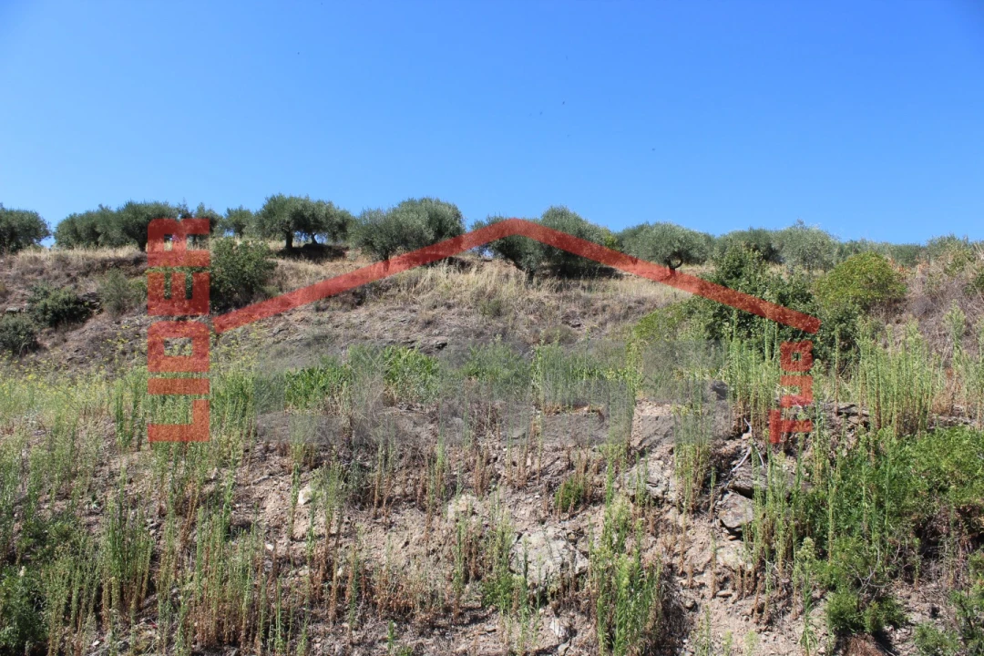 Terreno Agricola ou Rústico para Venda em Mascarenhas Foto 11