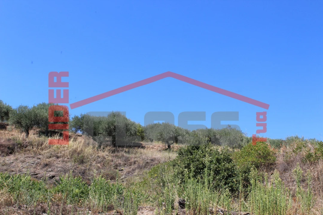 Terreno Agricola ou Rústico para Venda em Mascarenhas Foto 13