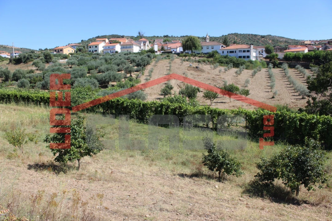 Terreno Agricola ou Rústico para Venda em Mascarenhas Foto 6