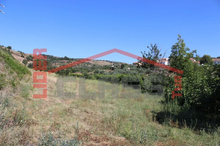 Terreno Agricola ou Rústico para Venda em Mascarenhas Foto 12